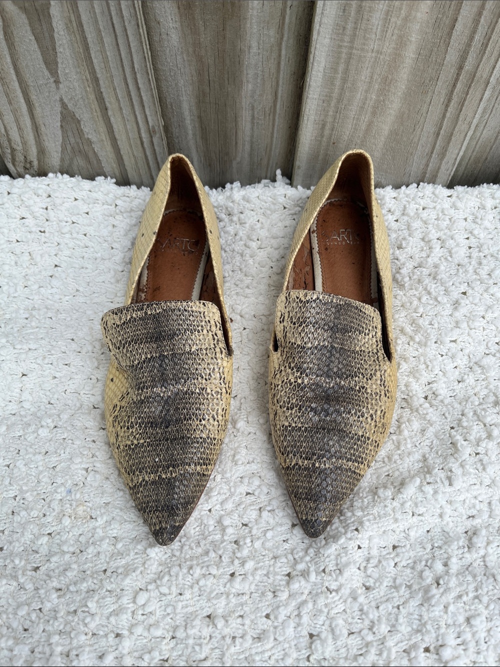 Sarto by Franco Sarto Topaz Loafer in a snakeskin/reptile textured print